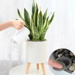 Calla-c vaso autoinnaffiante esterno interno bianco opaco e legno massello finitura rovere 3.5 litri d33xh48 cm