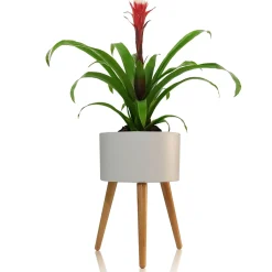 Calla-c vaso autoinnaffiante esterno interno bianco opaco e legno massello finitura rovere 3.5 litri d33xh48 cm