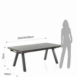 Thilia tavolo allungabile in alluminio antracite opaco piano in vetro colore antracite 200-290x100xh76 cm